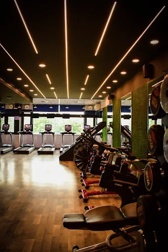 Absolute Fitness Mohali