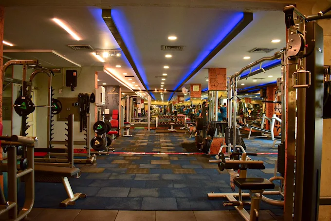 Absolute Fitness Mohali