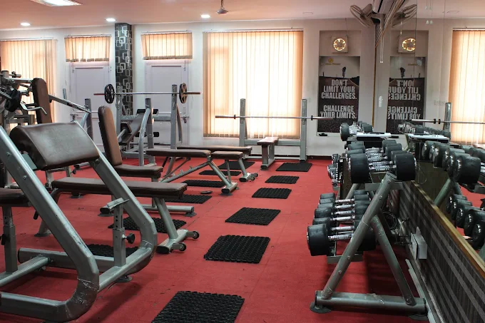 Absolute Fitness Mohali