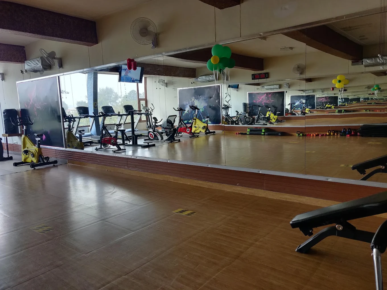 Absolute Plus Fitness Patiala