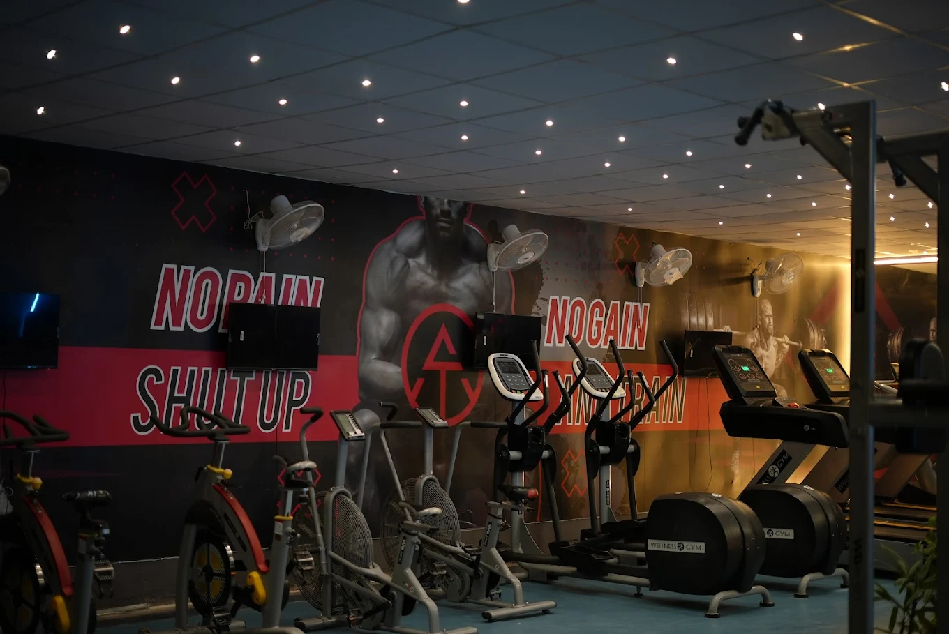 THE AESTHETIC Gym Kharar