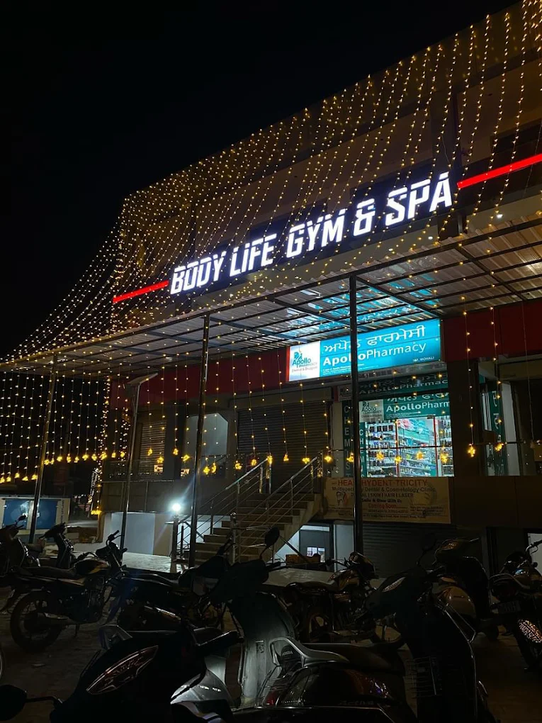 Body Life Gym & Spa Mohali