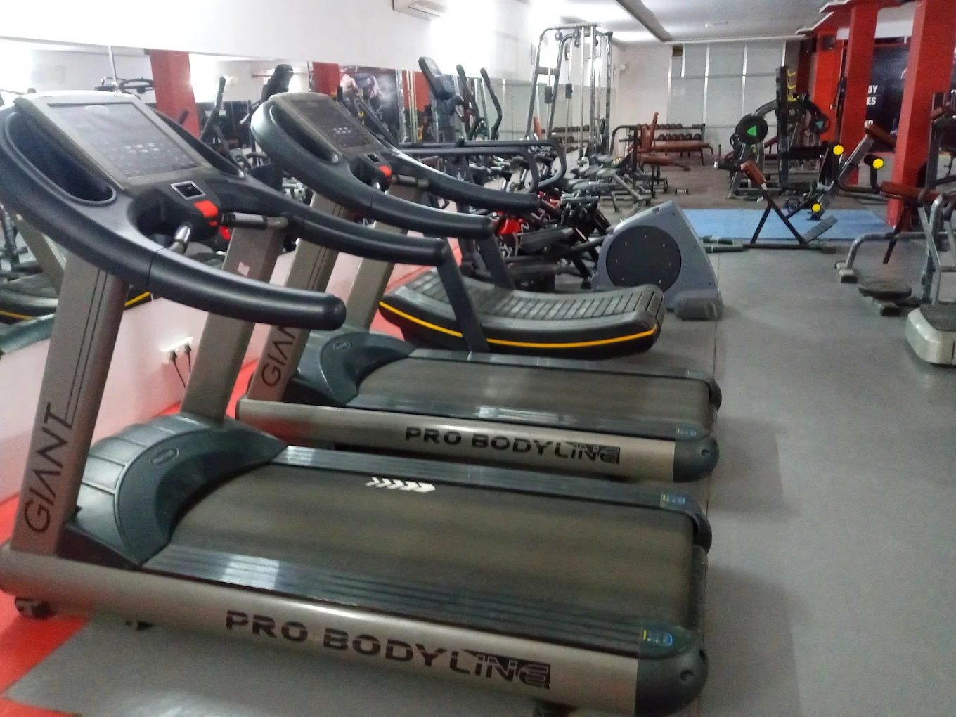 BULL'S EYE FITNESS HUB Patiala
