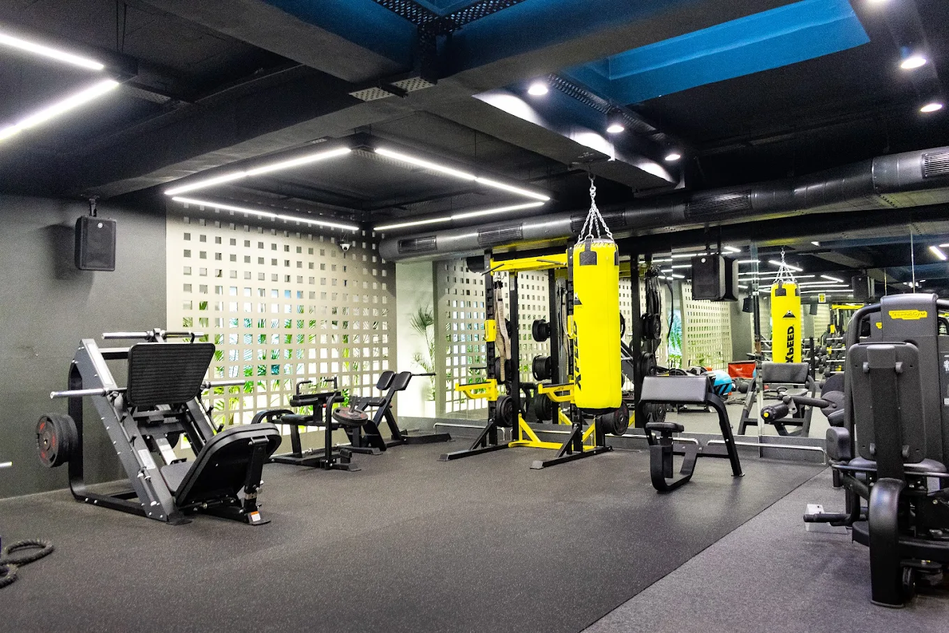 Burn Gym Zirakpur