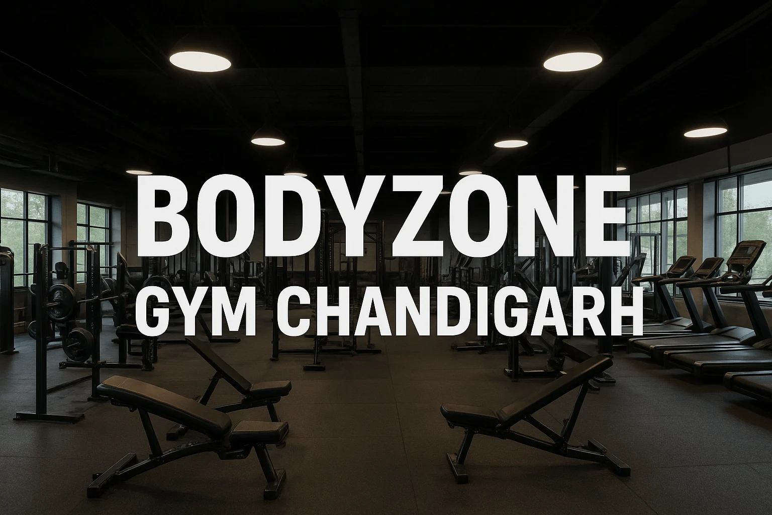 BodyZone Gym Chandigarh