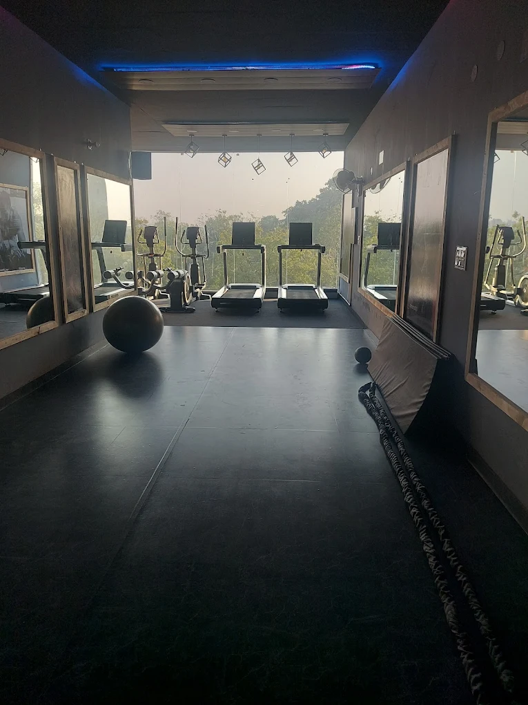 Curl Fitness Gym Patiala
