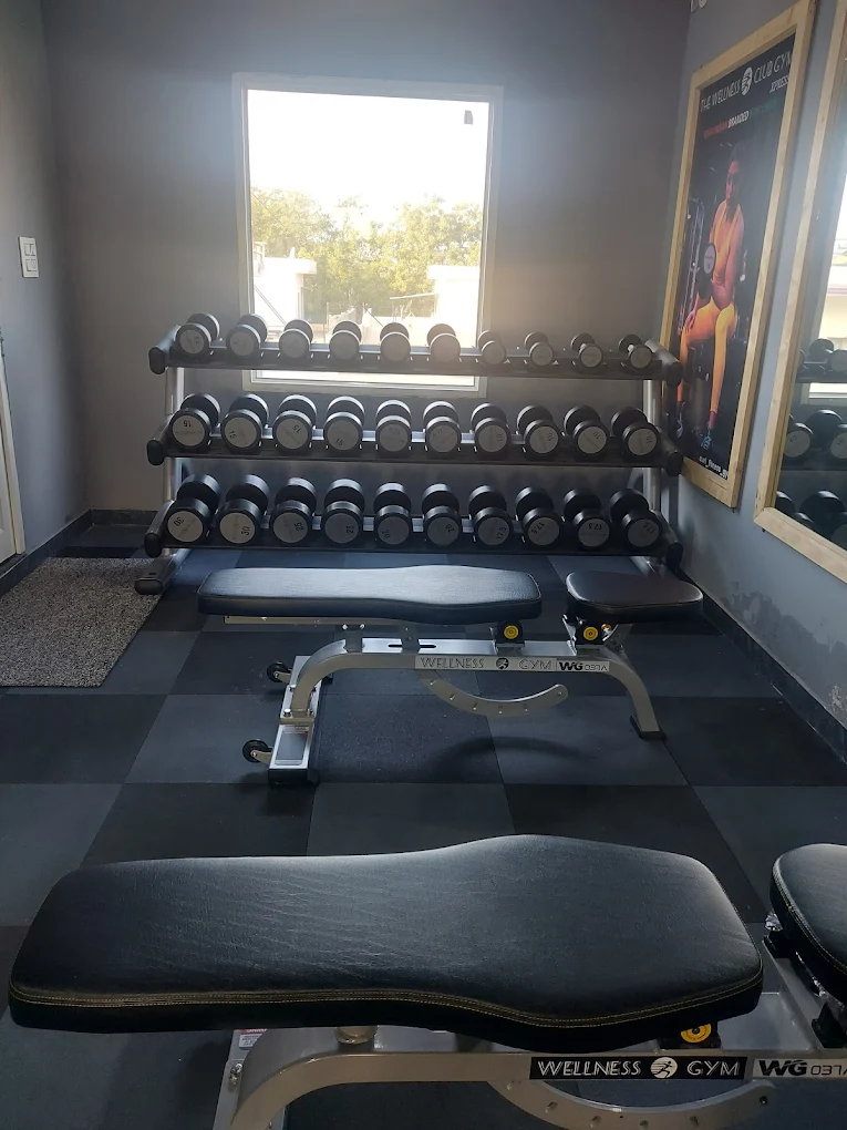 Curl Fitness Gym Patiala