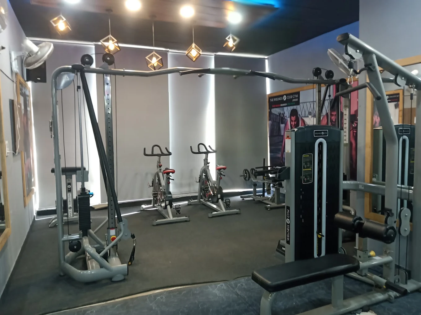 Curl Fitness Gym Patiala