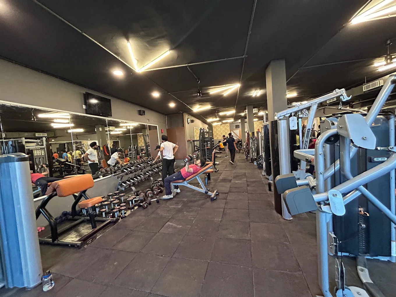 Curve Fitness Gym Patiala