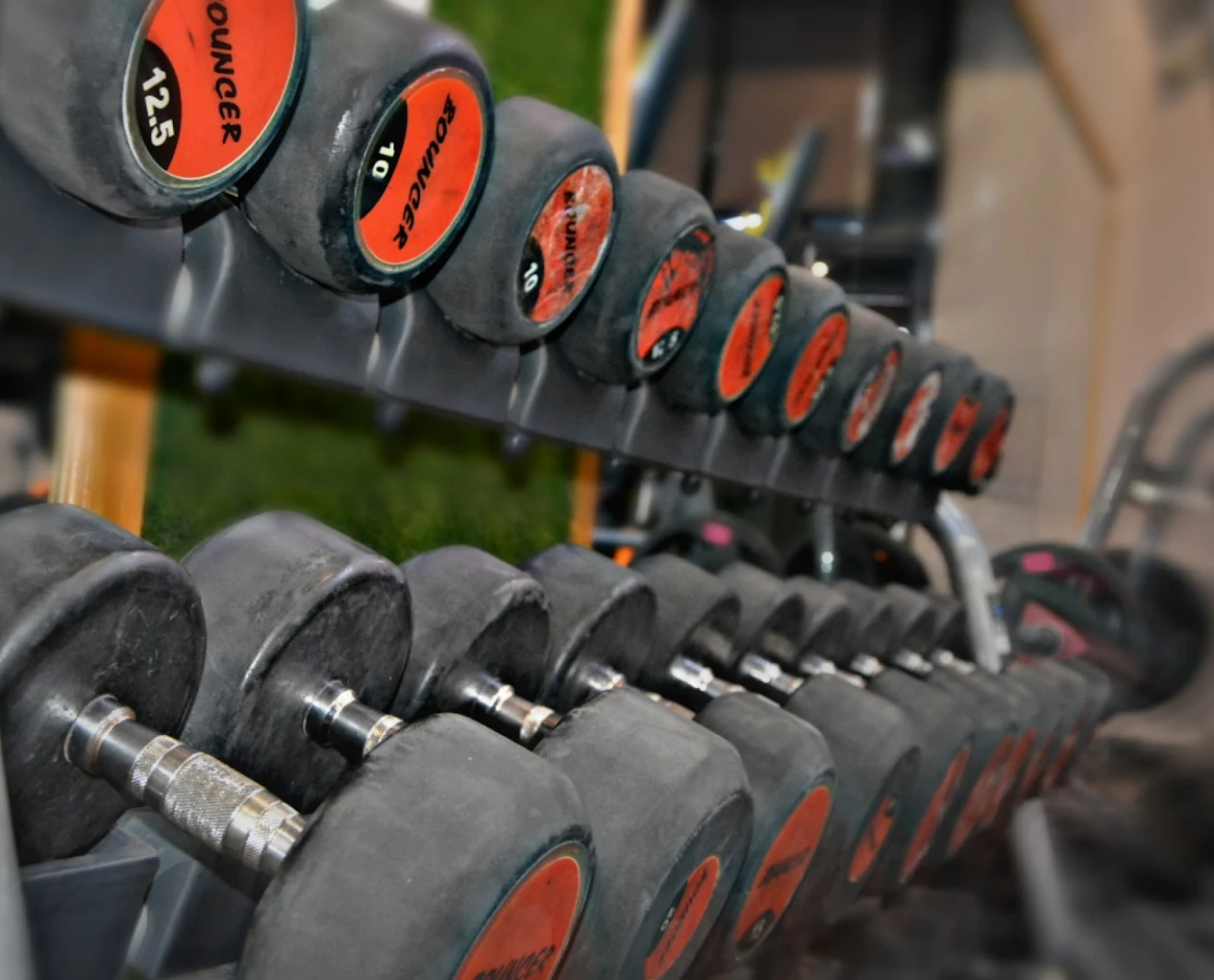 EverFit Gym & Spa Zirakpur