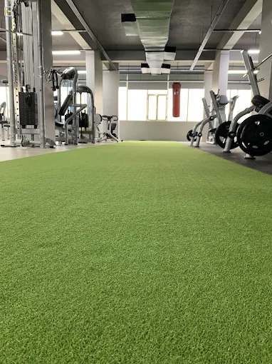 Evolv Gym And Spa Panchkula