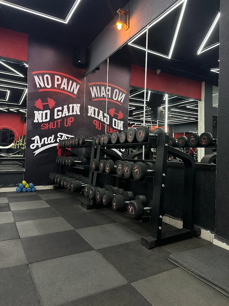 Fit Kingdom Gym & Spa Panchkula