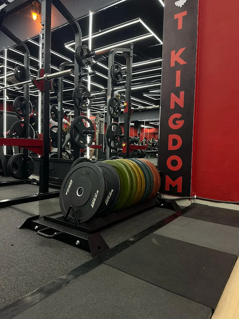 Fit Kingdom Gym & Spa Panchkula