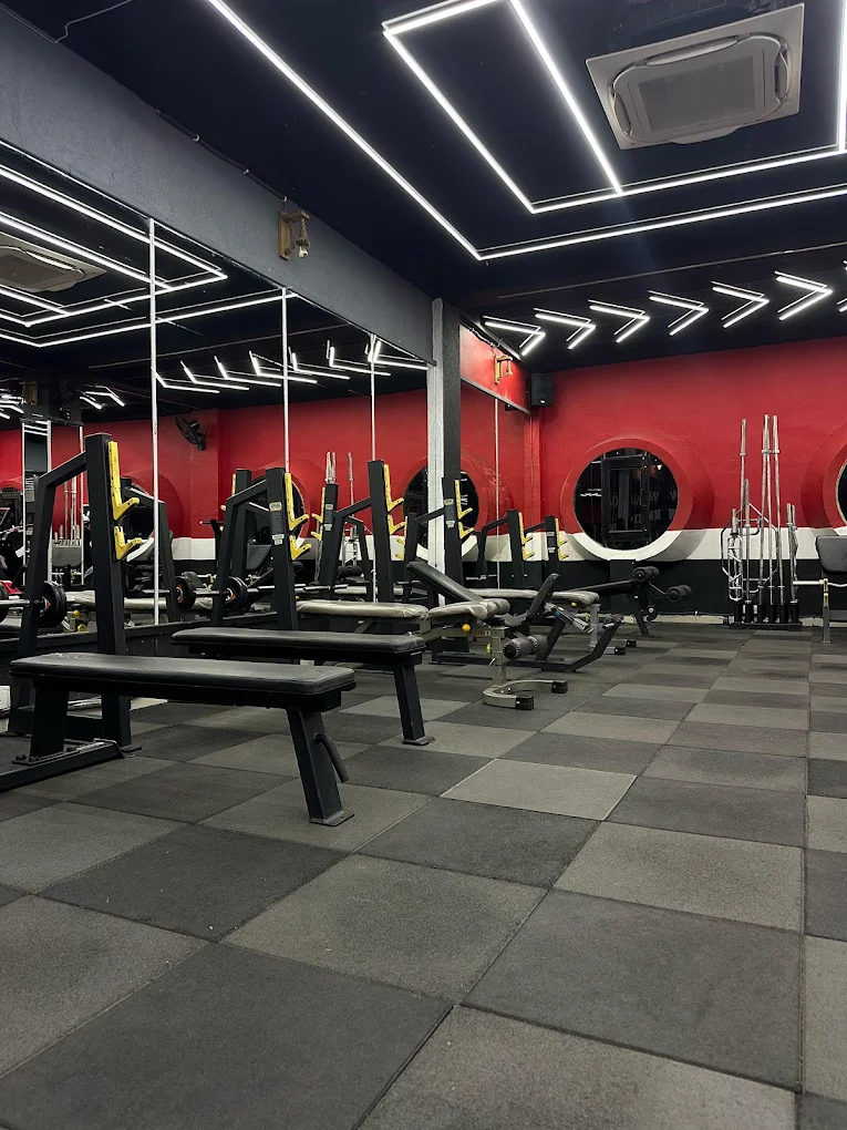 Fit Kingdom Gym & Spa Panchkula