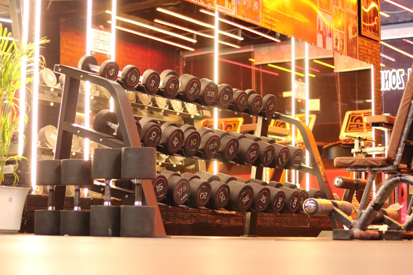 Fitness 7 Gym Chain Mohali
