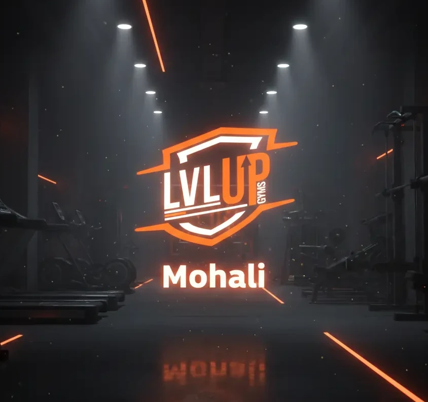 LVL UP GYMS MOHALI