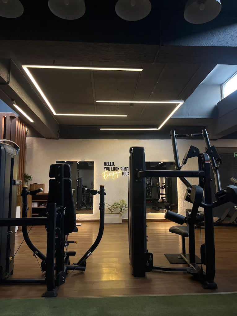 Immune Fitness Chandigarh