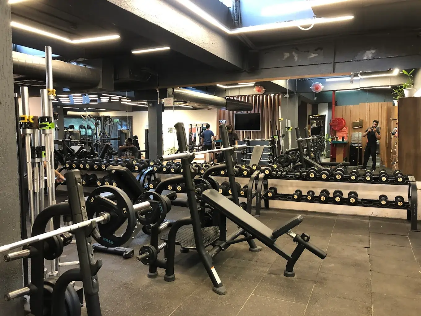 Immune Fitness Chandigarh