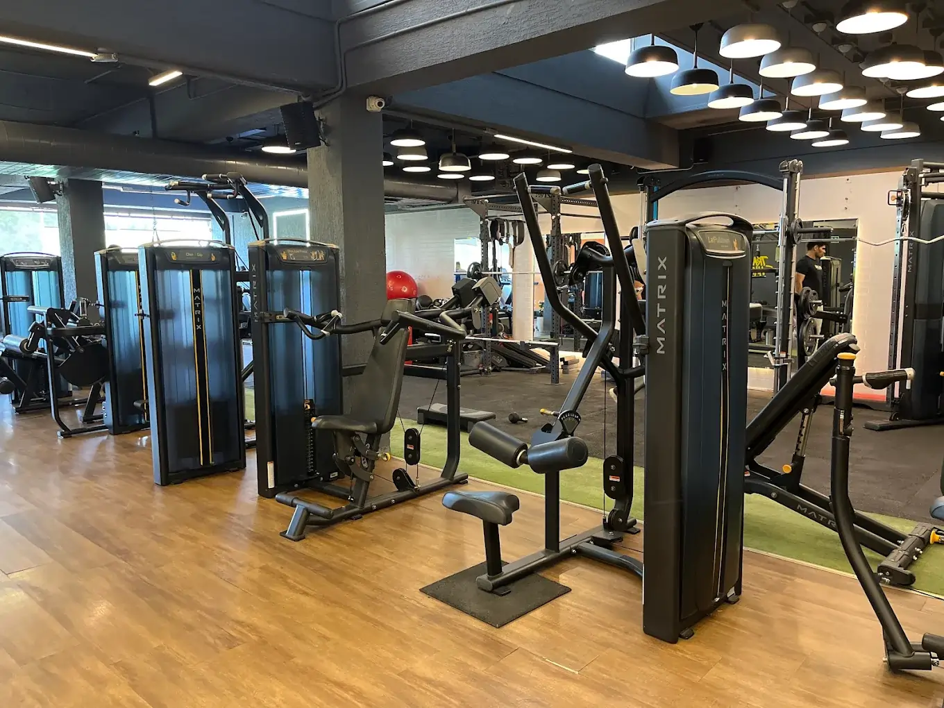 Immune Fitness Chandigarh