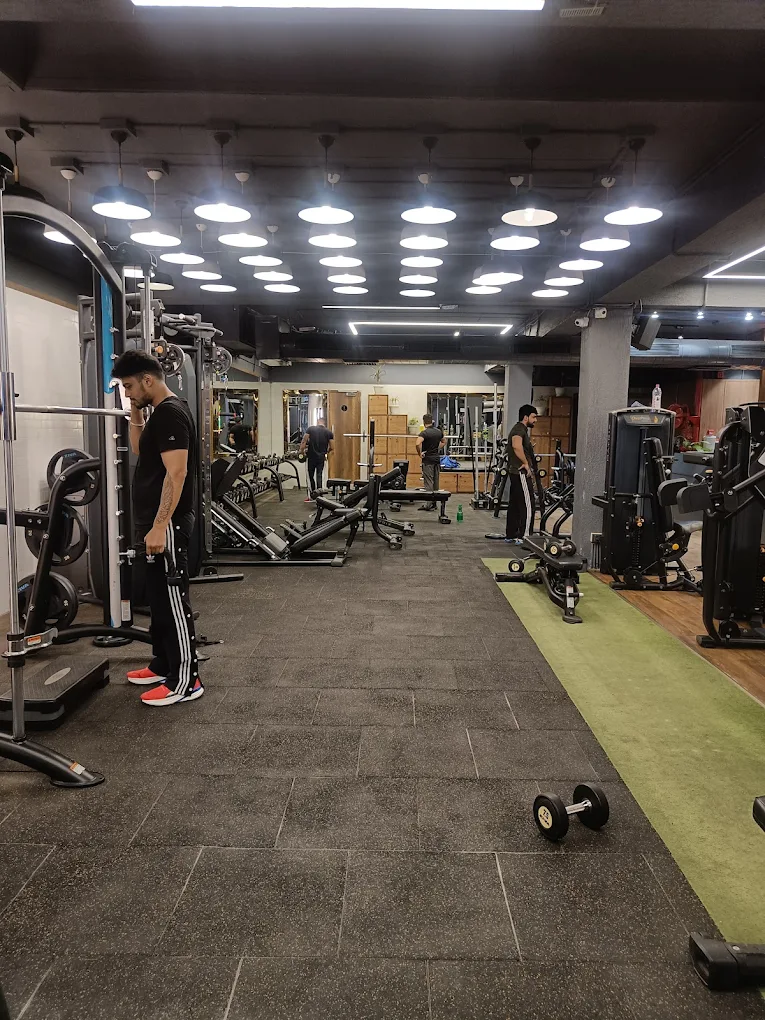 Immune Fitness Chandigarh