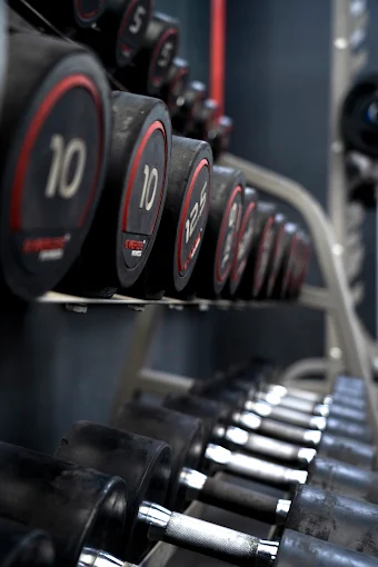 Metal Heaven Gymnasium New Chandigarh