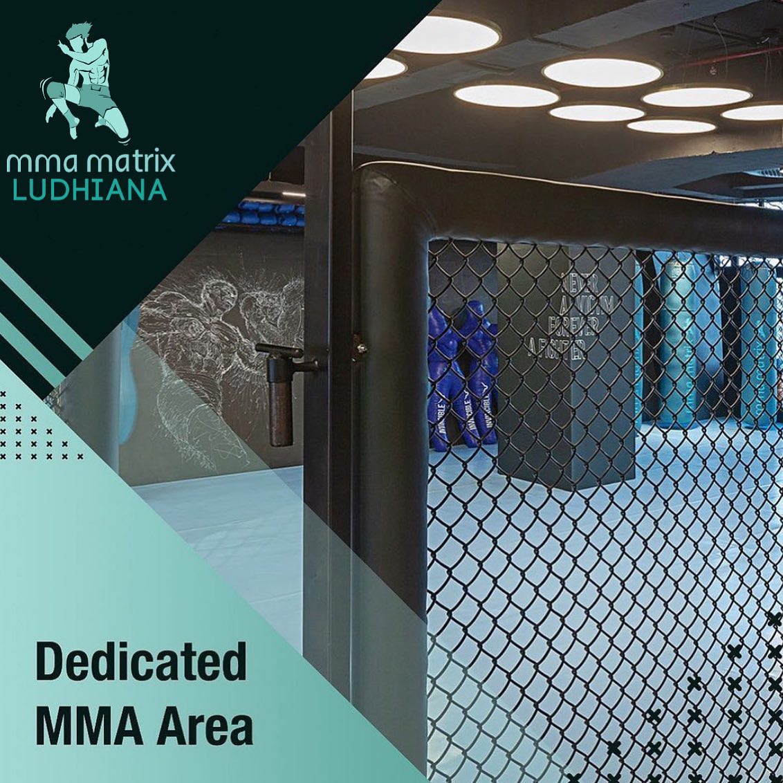MMA Matrix Gym Ludhiana