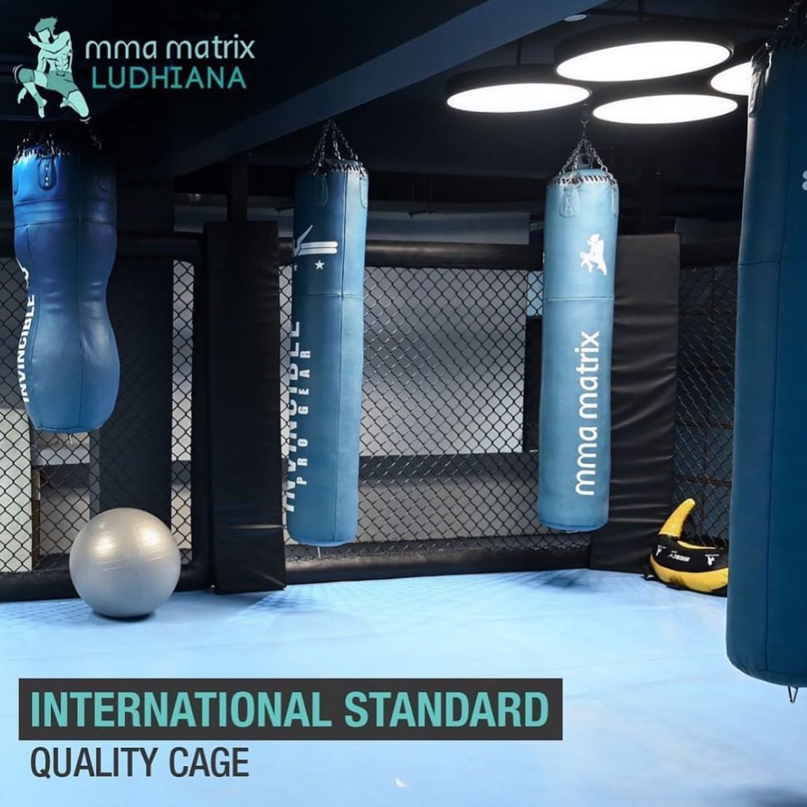 MMA Matrix Gym Ludhiana