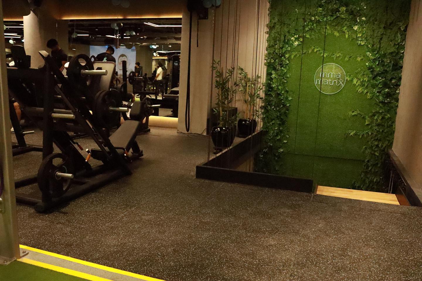 MMA Matrix Gym Ludhiana