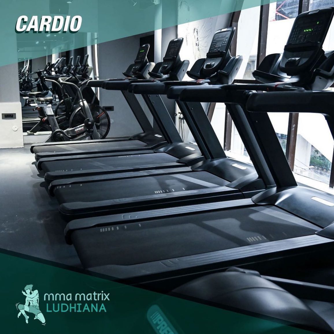 MMA Matrix Gym Ludhiana