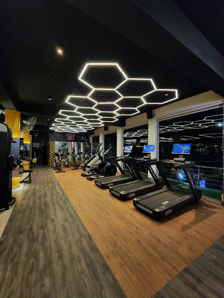 Muscle Mind Fitness Ludhiana