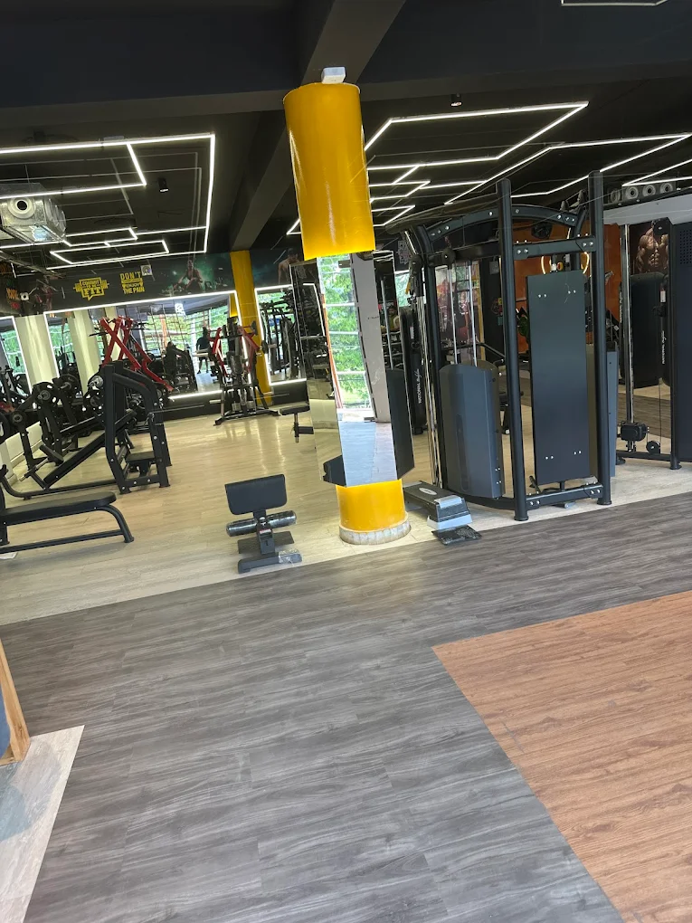 Muscle Mind Fitness Ludhiana