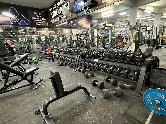 NS3 Gym Karnal