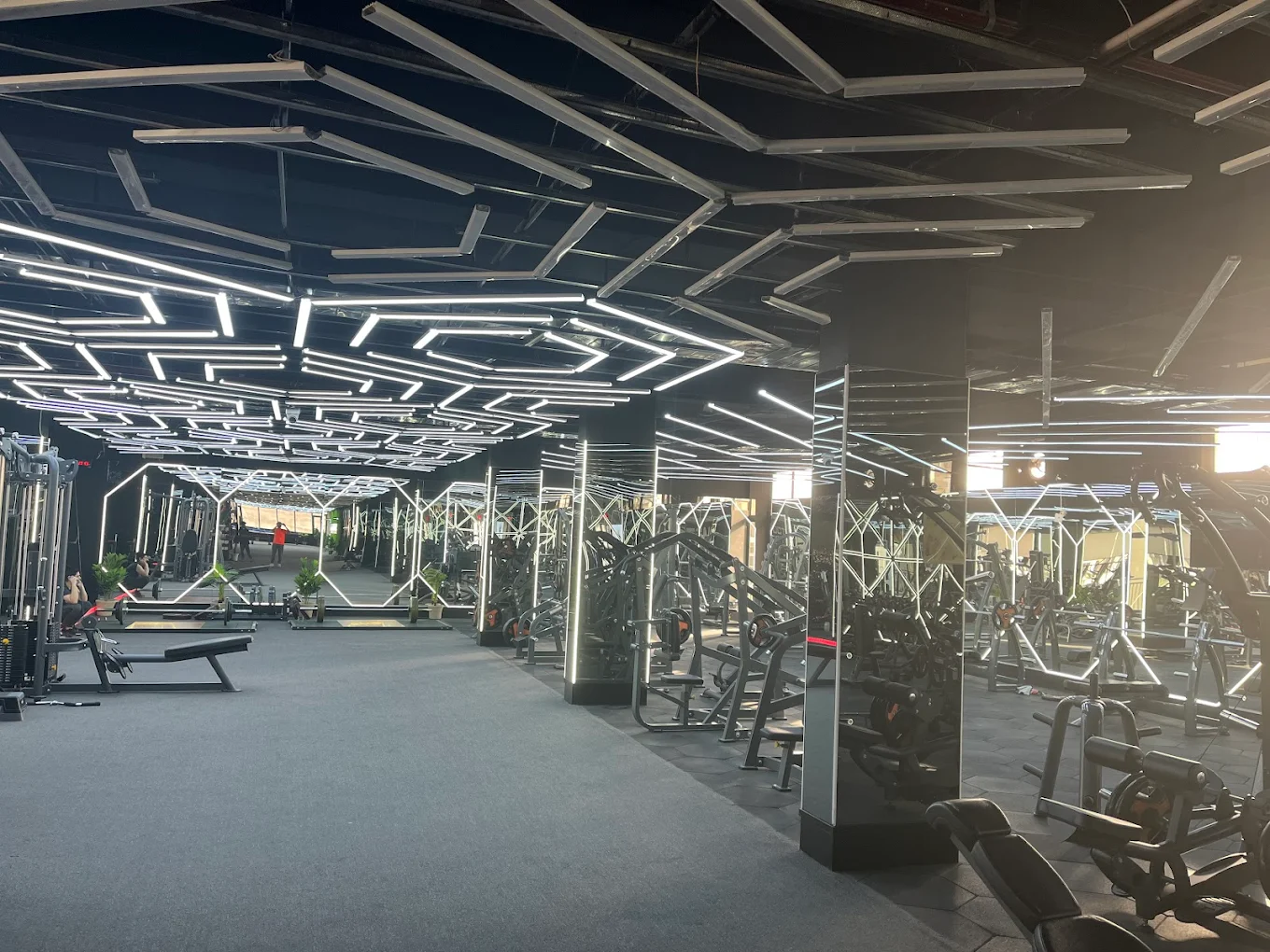Octane Fitness Prime Zirakpur