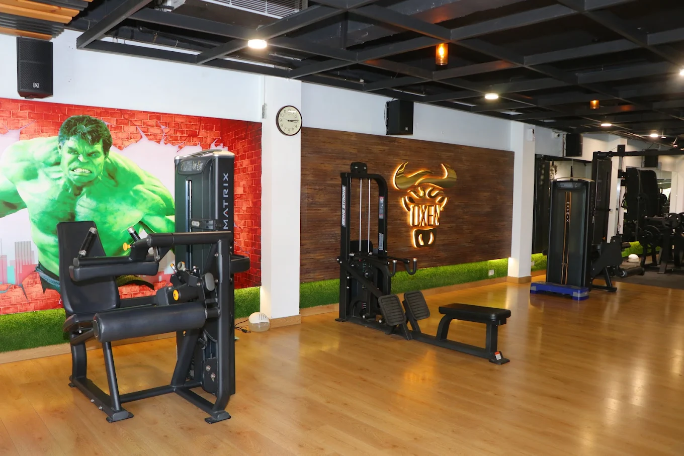 Oxen Gym & Spa Ludhiana