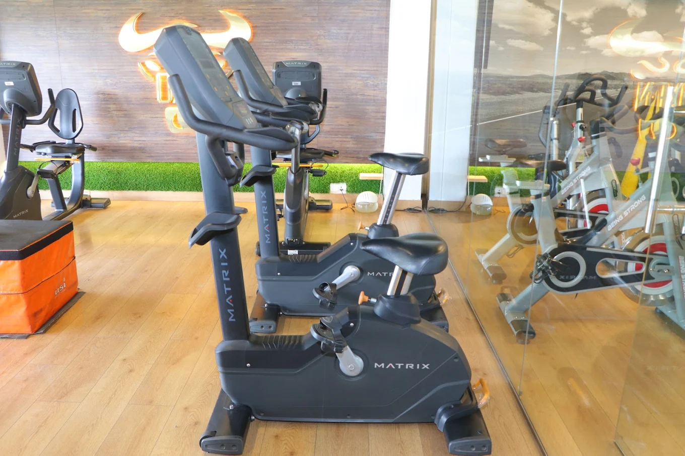 Oxen Gym & Spa Ludhiana