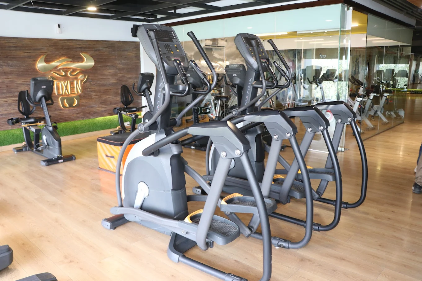 Oxen Gym & Spa Ludhiana