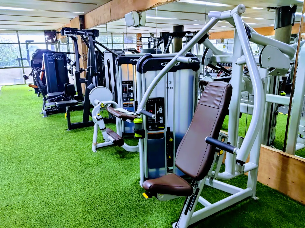 Ozi Gym & Spa Chandigarh