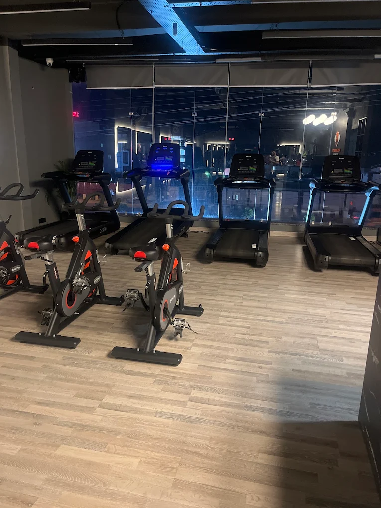 Polemistis Fitness Rudrapur