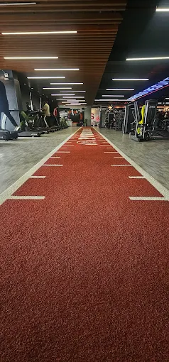 Powerhouse Gym Mohali