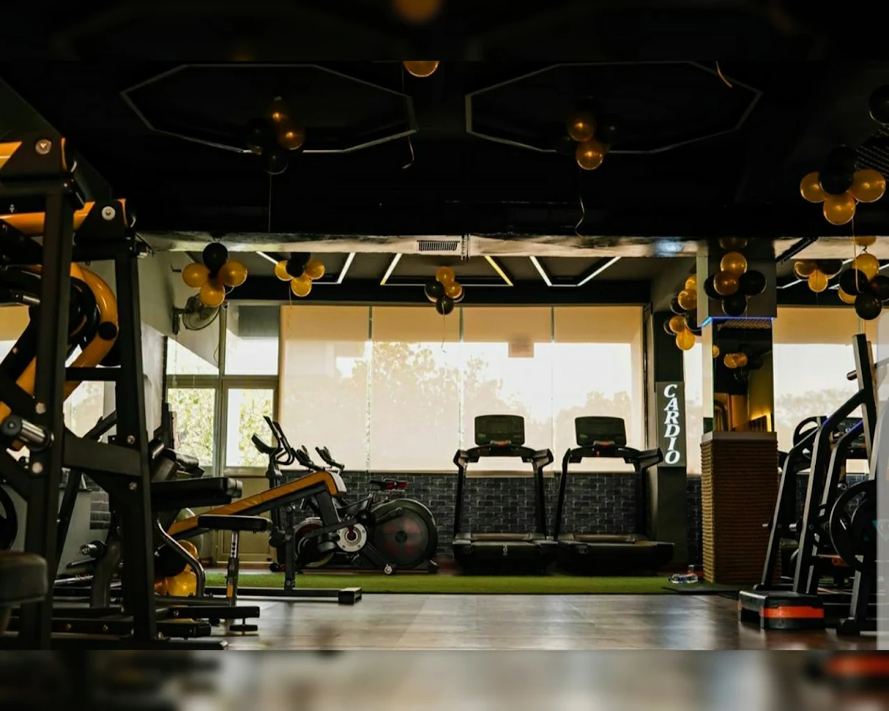 Powerzone Gym Chandigarh