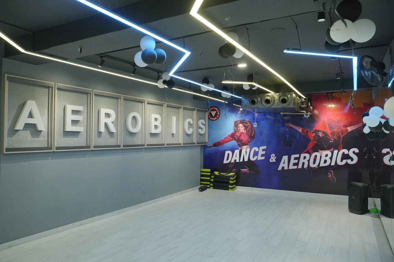 Pro Ultimate Gyms Dugri Ludhiana