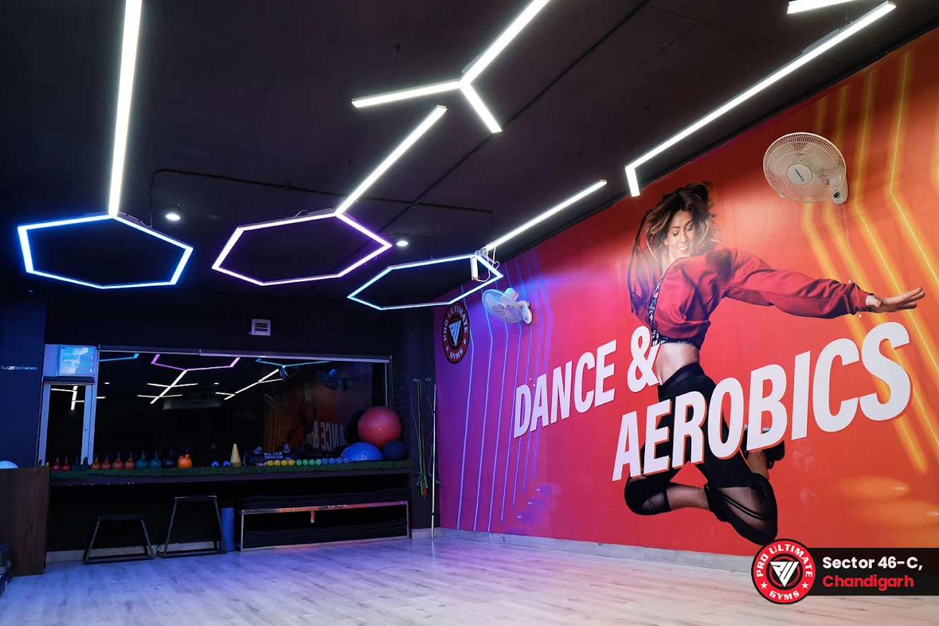 Pro Ultimate Gyms Chandigarh