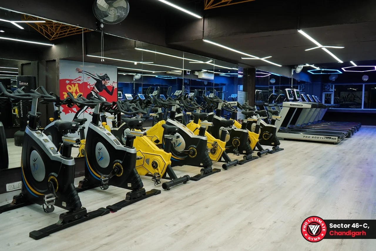 Pro Ultimate Gyms Chandigarh