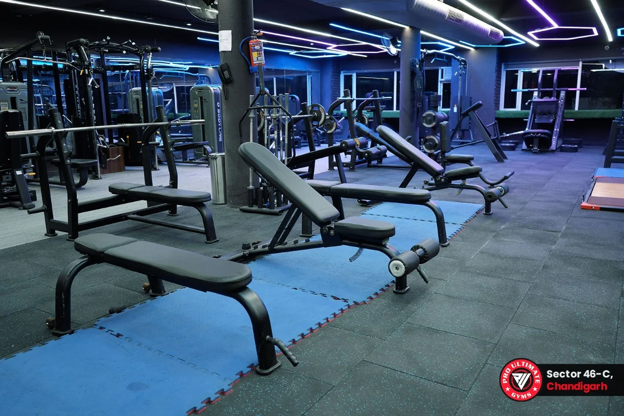 Pro Ultimate Gyms Chandigarh