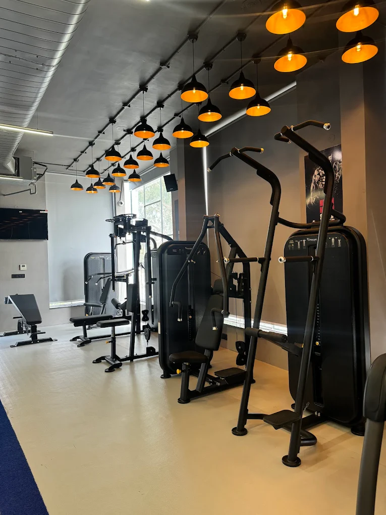 Pulse Fitness Gym Patiala