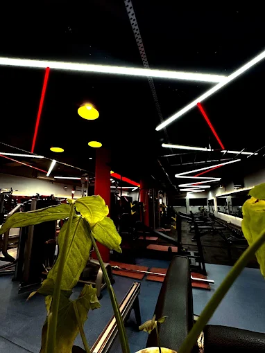 Pumping Weapons Gym Chandigarh