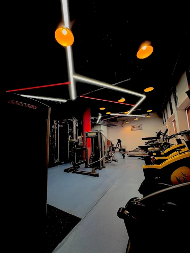 Pumping Weapons Gym Chandigarh