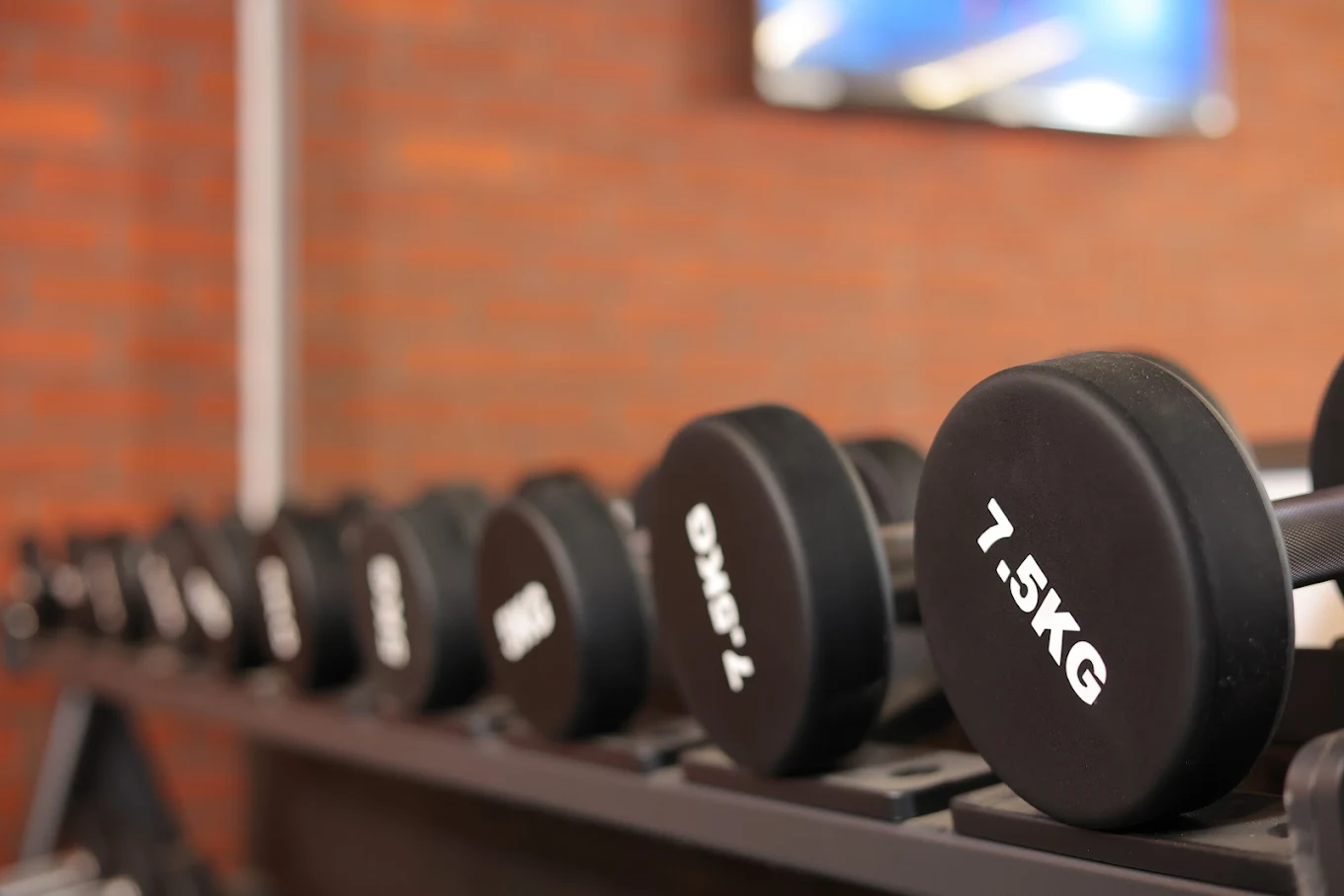 Repair The Health and Fitness Club Panipat