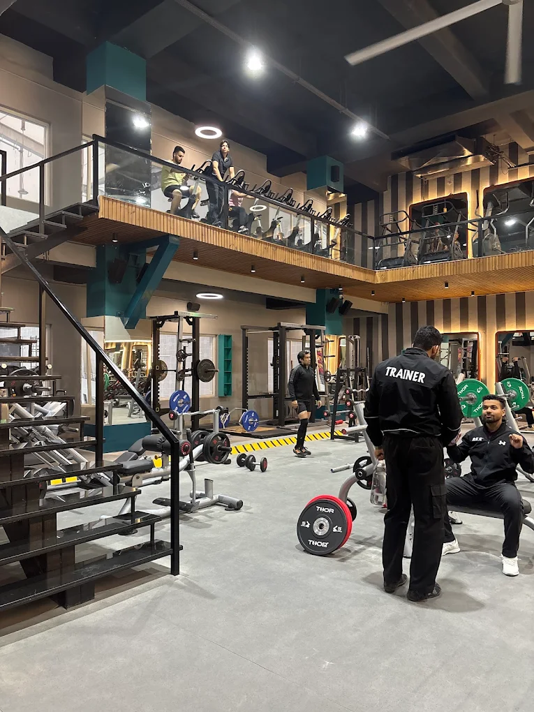 Rex Gym - Best Unisex Gyms Karnal