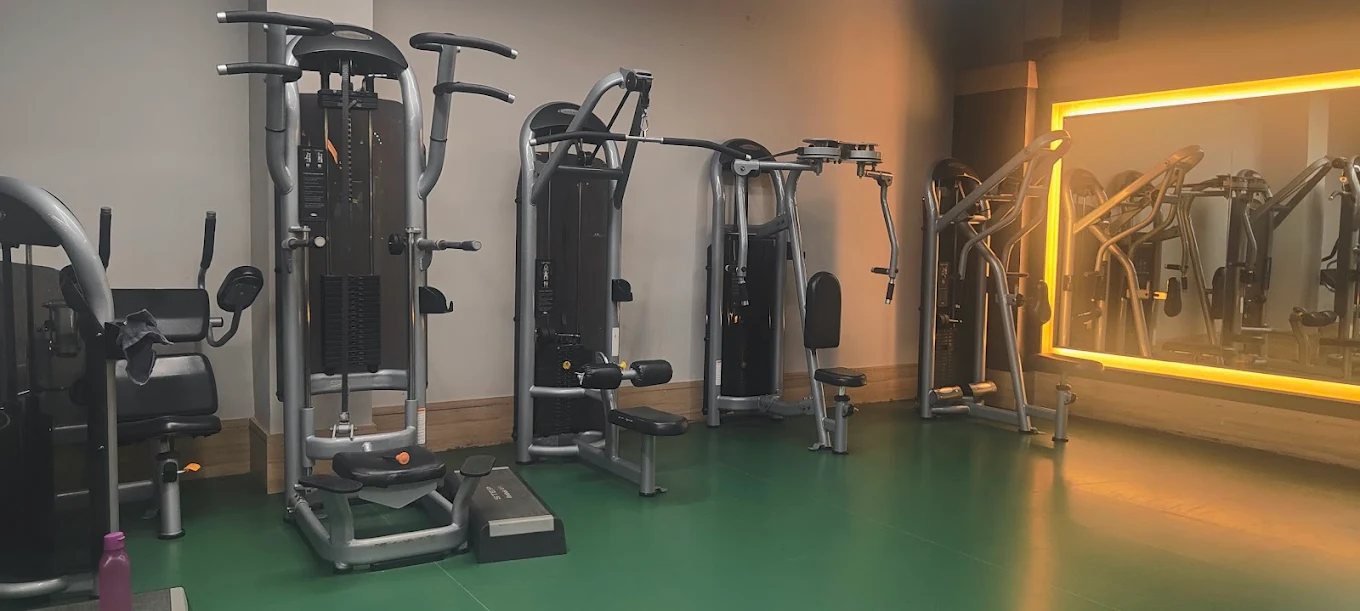 Rex Gym - Best Unisex Gyms Karnal